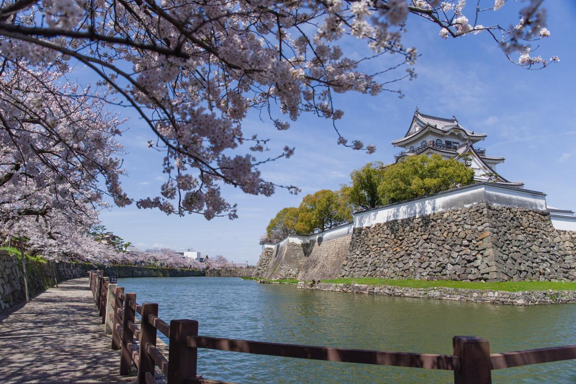 דירות Namba Shinsaibashi 10 Mins Osaka Castle　East מראה חיצוני תמונה
