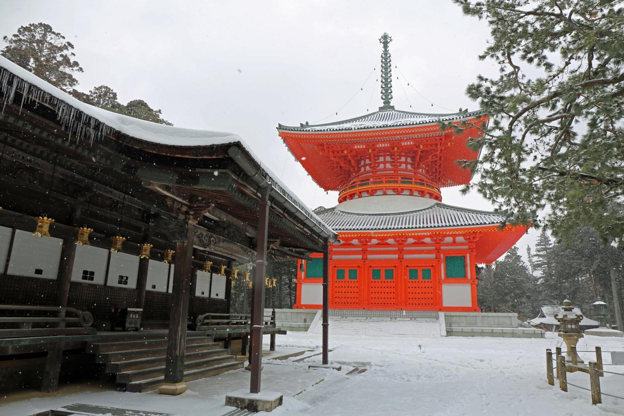 דירות Namba Shinsaibashi 10 Mins Osaka Castle　East מראה חיצוני תמונה
